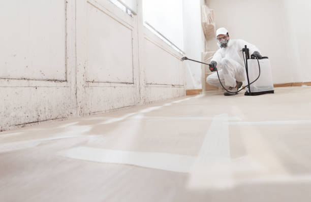 24/7 Emergency Mold Inspection experts in Union, MI