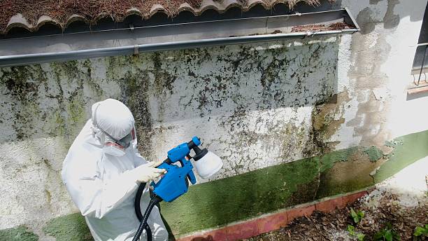 Trusted Mold Testing service in Union, MI - Cheap Mold Removal